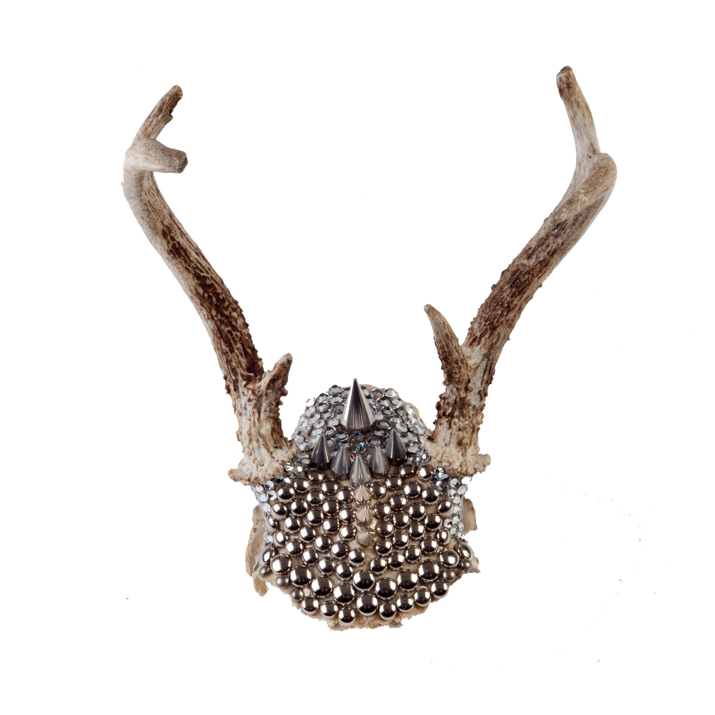 Armored Deer Skull