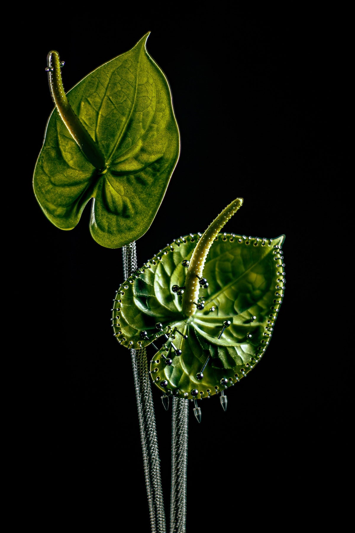 MHART x Floratorium — Pierced Flora Collection